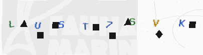 安全码