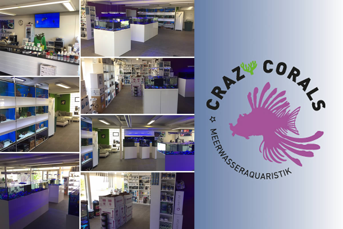 Crazy Corals