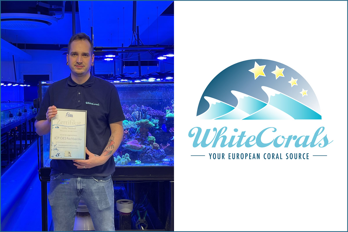 Whitecorals Vertriebs GmbH