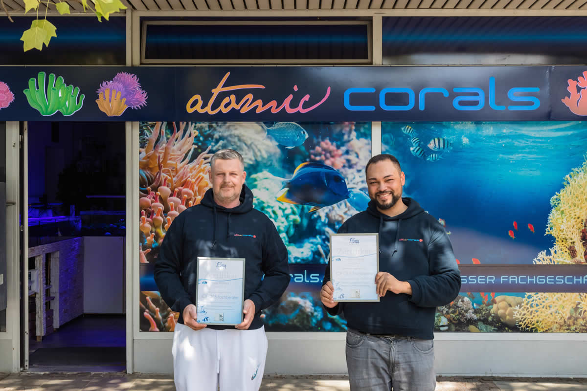 Atomic Corals
