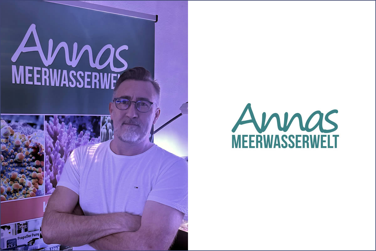 Annas Meerwasserwelt
