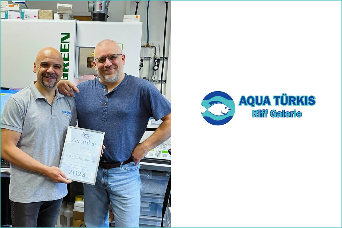 Aqua Türkis / Riff Galerie