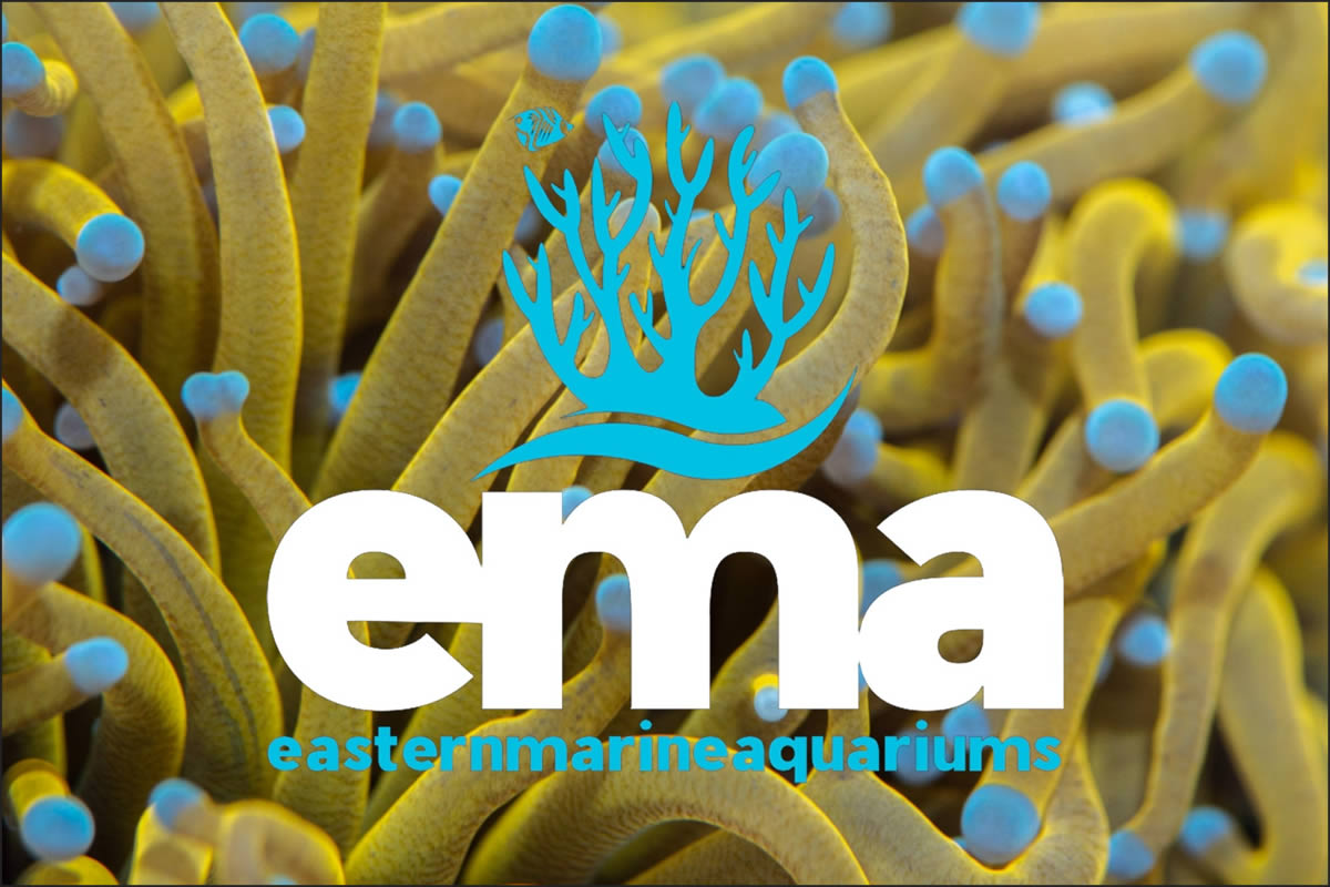 EasternMarine