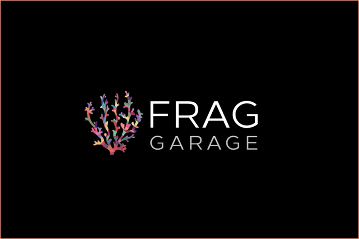 Frag Garage