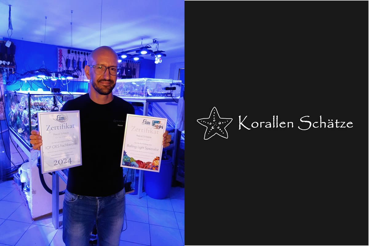 Korallen Schätze
