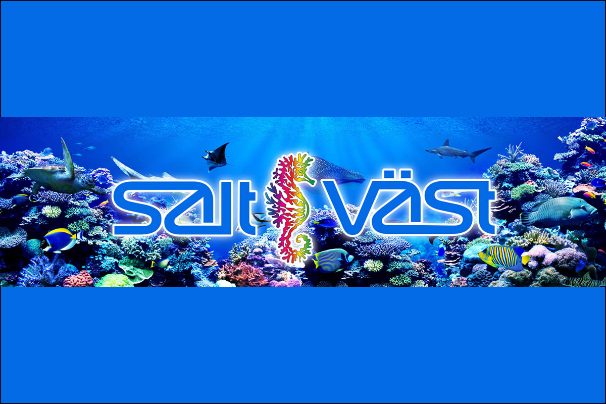 Salt i Väst