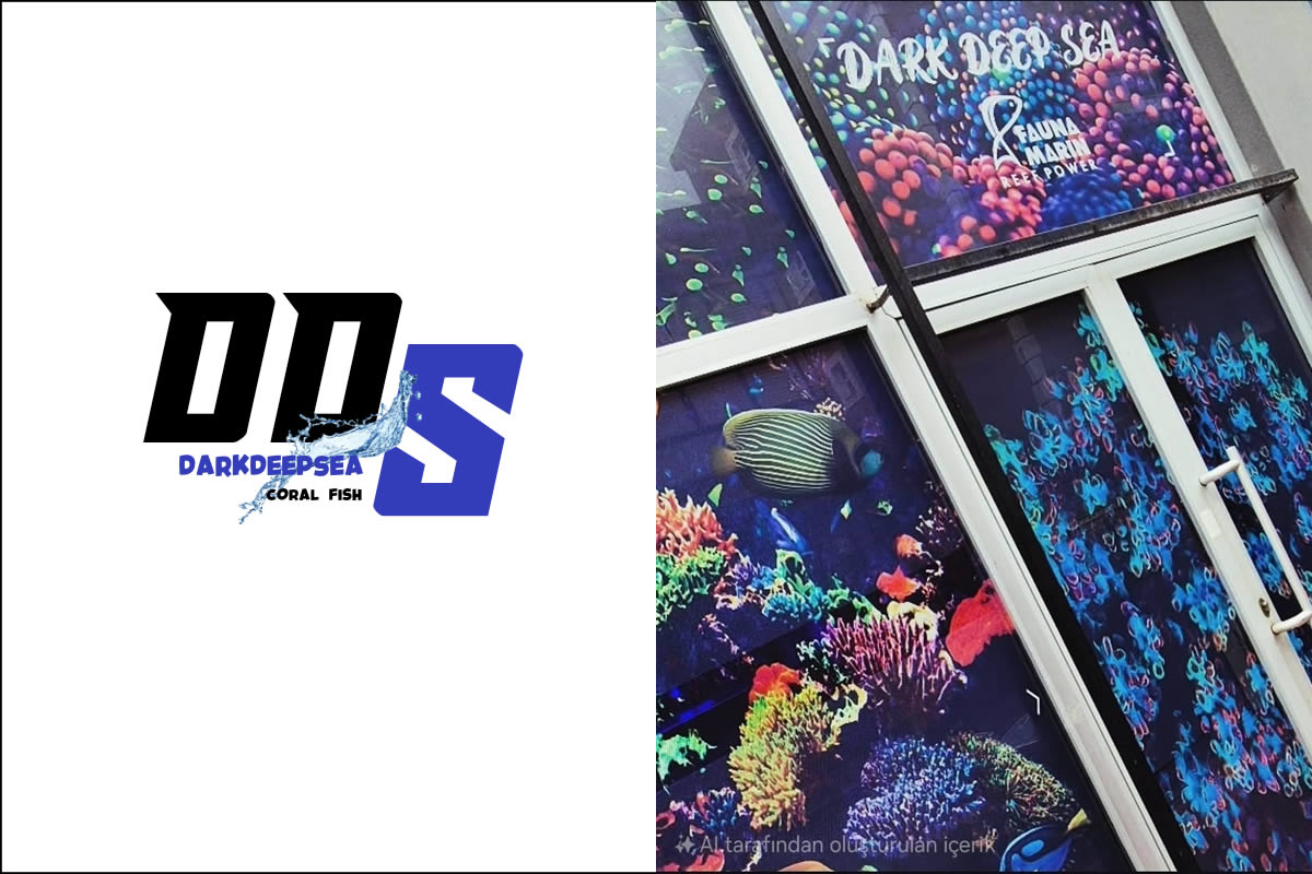 DarkDeepSea Akvaryum Pet Shop Ithalat Ihracat Sanayi ve Ticaret