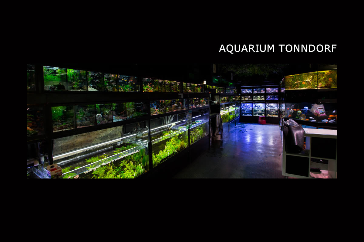 Aquarium Tonndorf