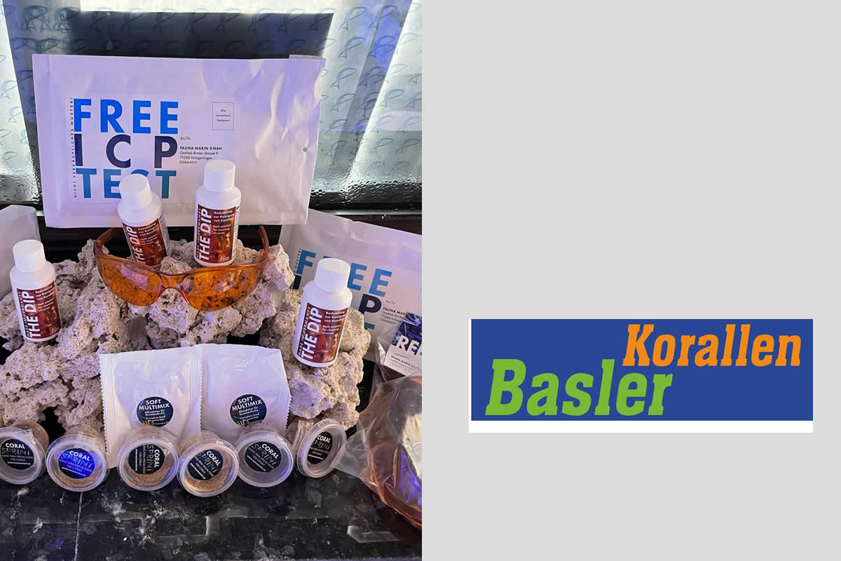 Korallen Basler
