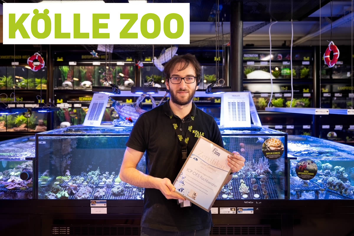 Kölle Zoo Esslingen